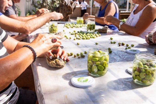 Hapymag seagarden harvest days (1)