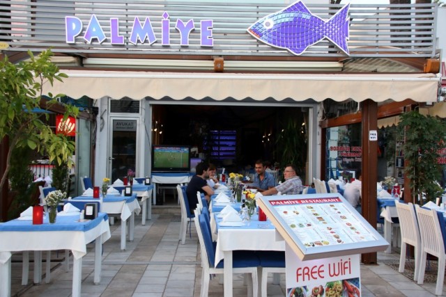 Palmiye Balık (9)