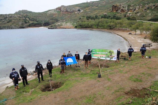 SAHİLLERDE AĞAÇLANDIRMA ÇALIŞMASI GERÇEKLEŞTİRİLİYOR (1)